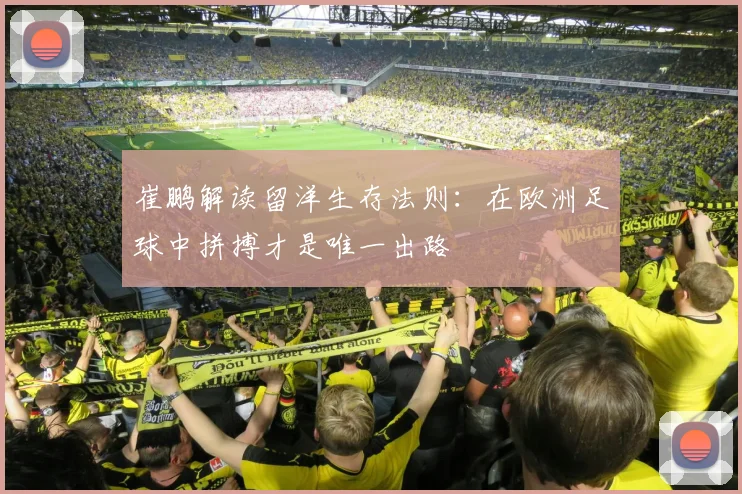 崔鹏解读留洋生存法则：在欧洲足球中拼搏才是唯一出路